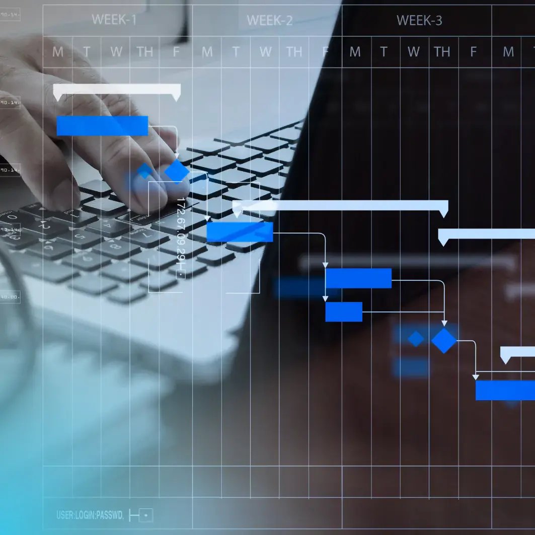 ERP implementation planning and project management_500x500
