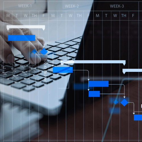ERP implementation planning and project management_500x500